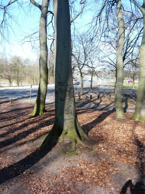 Licht und Schatten