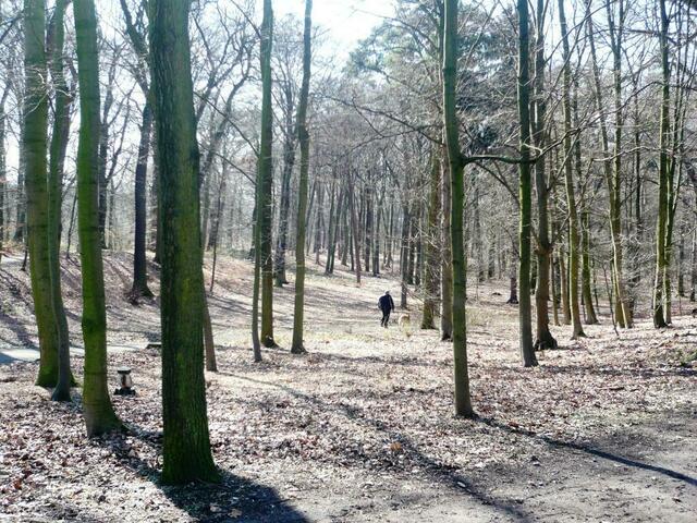 Endlich ohne Regenschirm mit dem Hund unterwegs ;-)