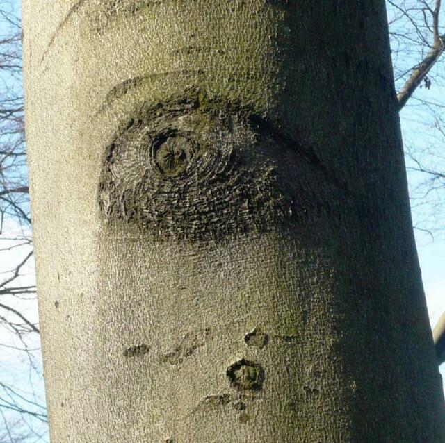 Augenblick ;-)