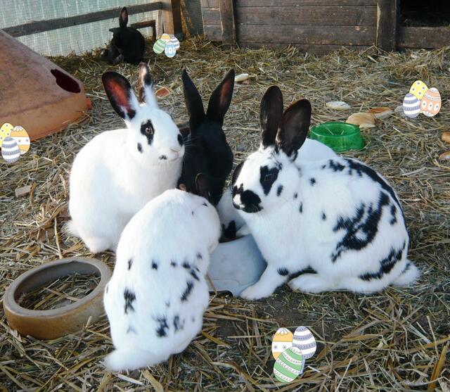 Meeting in Sachen Ostern ;-)