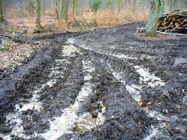Verschlammte Wege