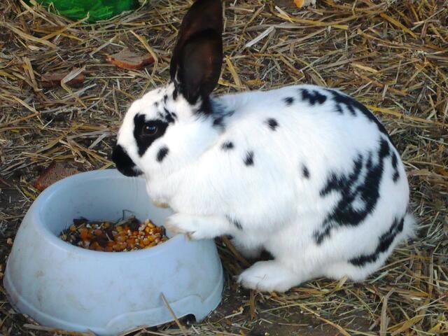 "Endlich, alles meins!"