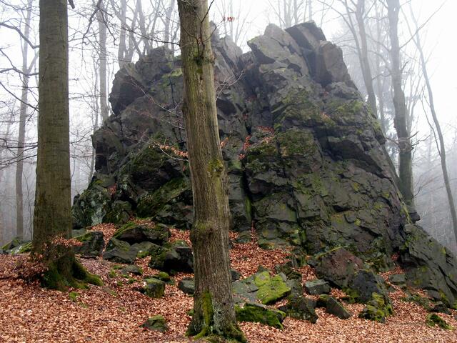 Eingerahmt von hohen Buchen