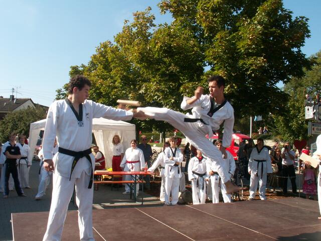 Cem Saydir 4. Dan Taekwon-do