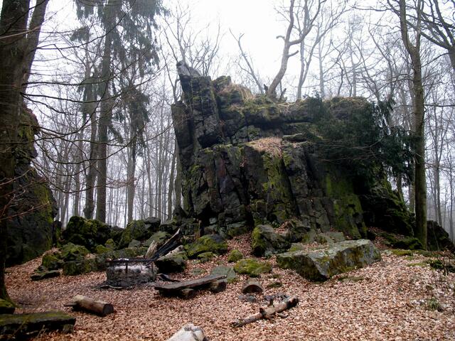 Baum wächst auf Eisenkiesel - Felsen