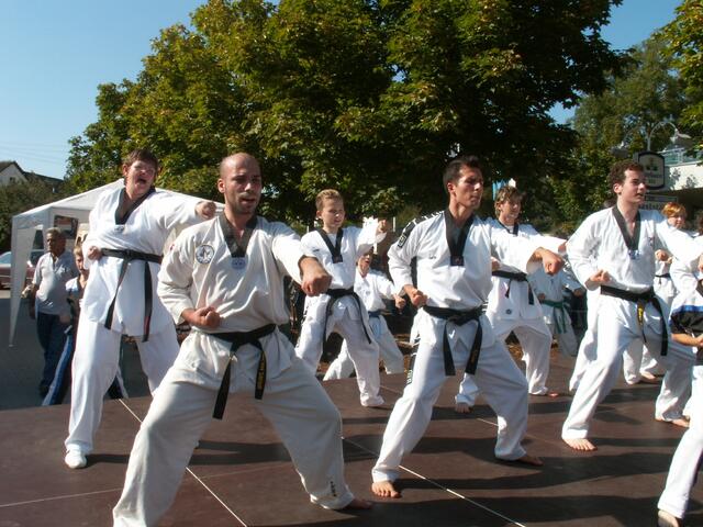 Vorführung Herbsttage in Schweinspoint