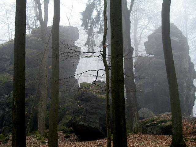 Rechts ein Neandertaler ?