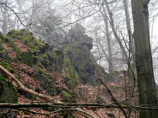 Kopf eines "Neandertalers" ?