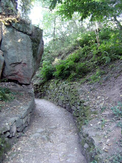 ein alter Weg , Natur pur