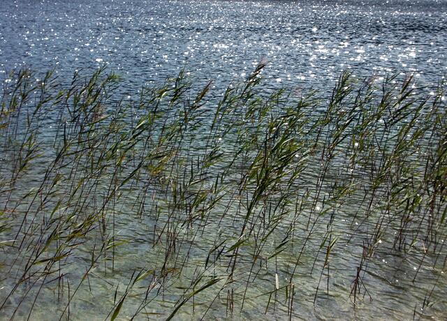 Am Lautersee