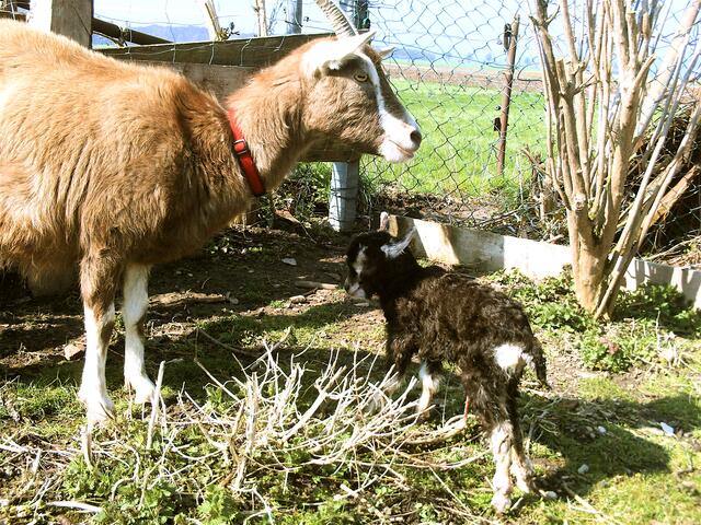 Nanni mit Nora