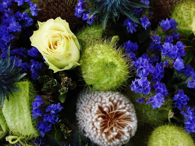 5 &#8364; das Arrangement....