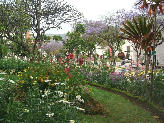 In der Hauptstadt Funchal