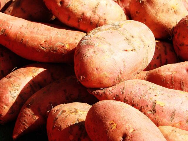 die Süßkartoffeln