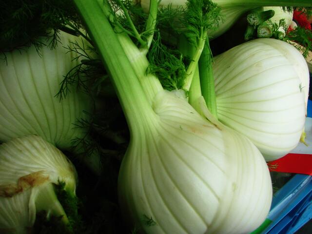 Fenchel..