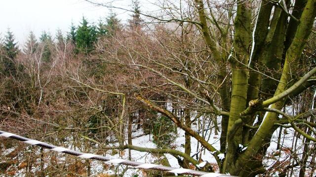 Auf dem Hohenstein mit Blick nach Tschechien
