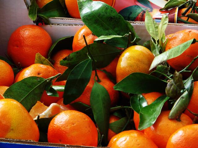 sie sehen noch richtig gut aus.....