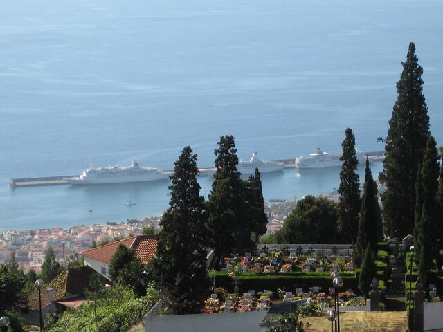 Madeira: Wir sind nicht allein