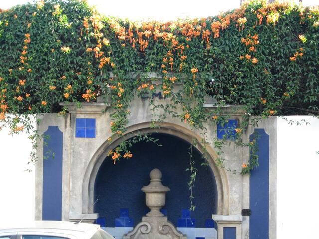 Im Park von Funchal