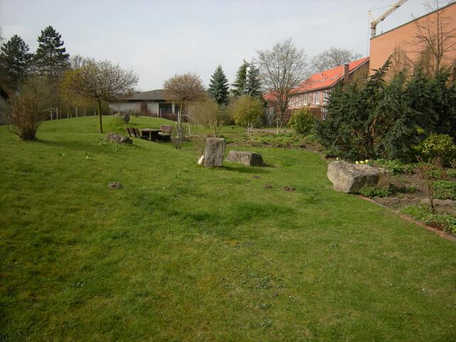 Steine vor dem Weinberg.   (blauer Amerikaner)