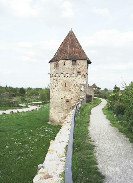 Heute dient sie nur noch dazu, einen angenehmen Spaziergang zu machen | Foto: Michael Schmalenstroer - http://commons.wikimedia.org/wiki/File:Bergheim_-_Stadtmauer_02.JPG