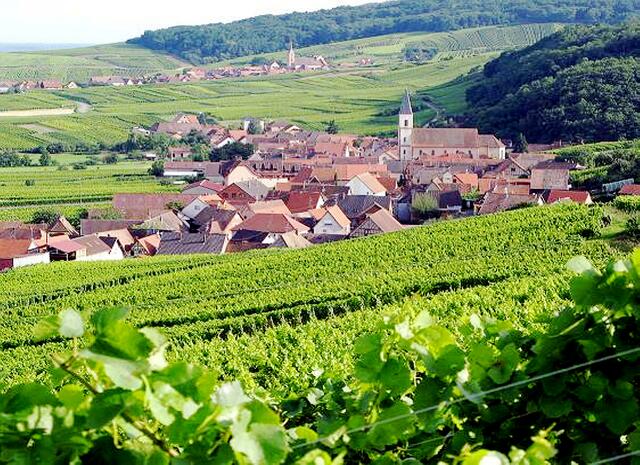 Wir kommen durch Nothalten, das noch schöne alte Häuser aus dem 17. und 18. Jahrhundert, vor allem um seinen Renaissancebrunnen herum hat. | Foto: Melpomeene - http://commons.wikimedia.org/wiki/File:Nothalten_et_Blienschwiller1.jpg