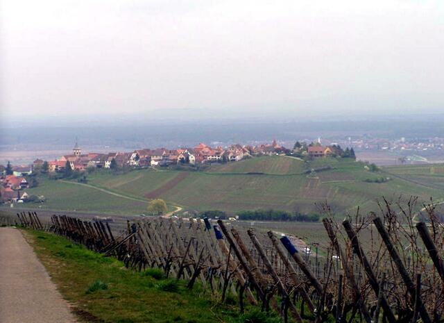 Zellenberg, das seinen Weinberg überragt. Der Ort ist einzig in seiner Art. Diese Bauweise findet man sonst eher in der Provence. Ursprünglich war hier die Zelle eines Einsiedlers. Am Anfang des 14. Jahrhunderts wurde das Dorf sogar zu Stadt erhoben. | Foto: Mhp1255 - http://commons.wikimedia.org/wiki/File:Zellenberg.jpg