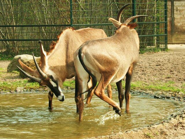Spaß im Wasser!