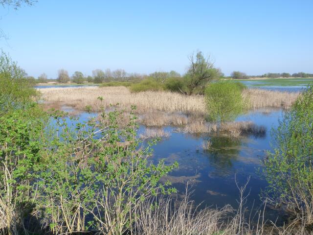 Sumpfgebiete