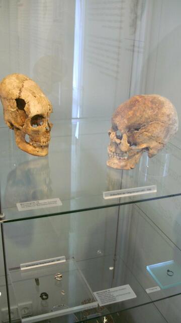 Skelettschädel m. Kampfwunden - Grabung Hemmaberg