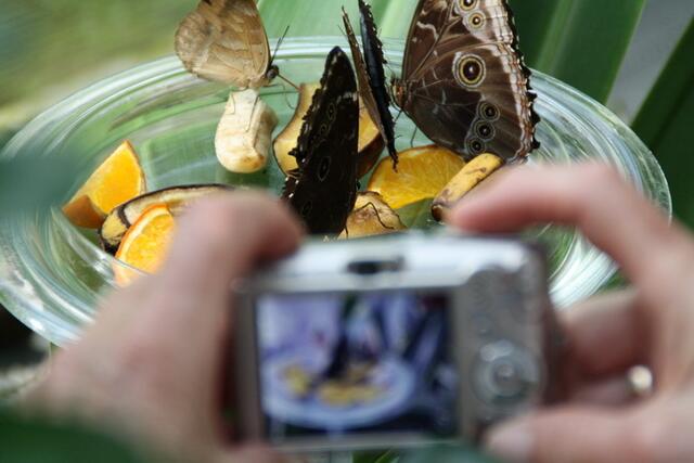 Foto eines im Entstehen begriffenen Fotos