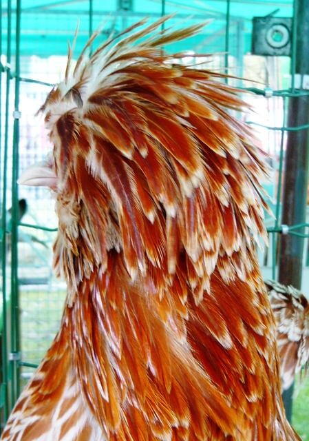 Coole Frisur!