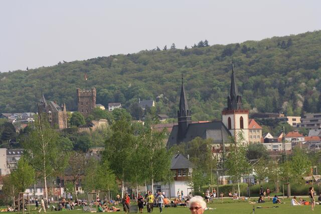 Bingen mit Burg Klopp und Basilika