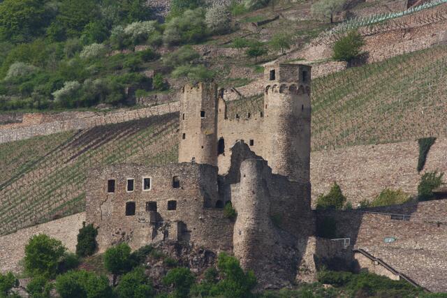 Ruine Ehrenfels