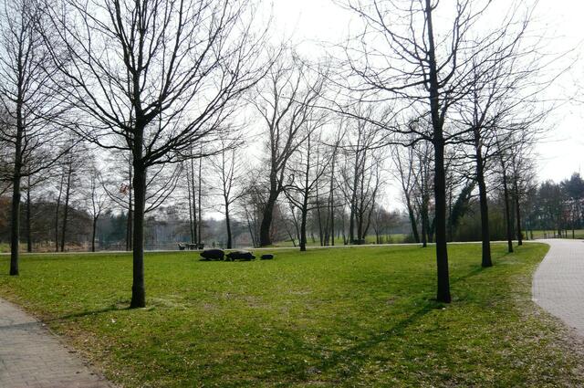 Rechts oder links - das ist die Frage!
