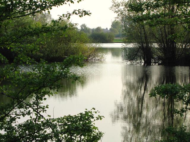 Rethener Teichlandschaft