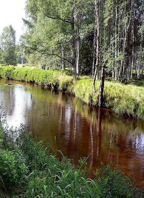 Die Moldau, der längste und wasserreichste Fluss Tschechiens, entspringt im Böhmerwald. Sie durchfließt von Süden nach Norden ganz Südböhmen. Die Gesamtlänge der Moldau beträgt ca. 430 km. | Foto: http://commons.wikimedia.org/wiki/File:Moldau.jpg