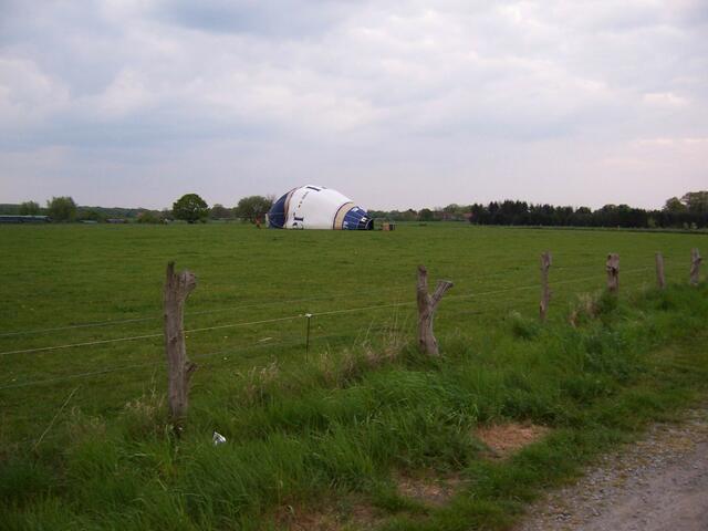 Mitten auf der Wiese