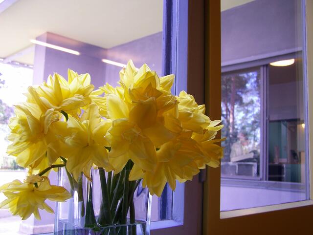 Blumen klassisch präsentiert