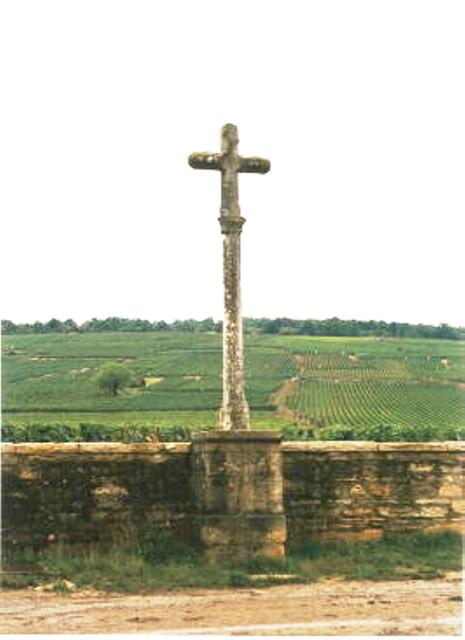 Im Climat Romanée-Conti steht ein hohes Kreuz von 1804. Ein Climat ist ein Weinberg innerhalb einer Gemeinde mit Weinbau. | Foto: Renzo Grosso - http://commons.wikimedia.org/wiki/File:Roman%C3%A9e-Conti_-_vinhedo_-_R.jpg