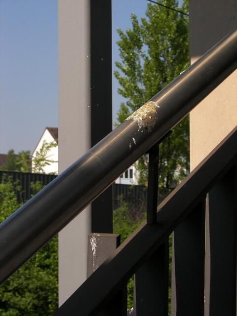 nach oben gehen? Oh vorsichtig! Die Tauben sind nicht ds Problem! die machen es nur sichtbar! TROTZ MESSETAG wer diesen Handlauf nutzen musste, hatte anschließend schwarze Handflächen...