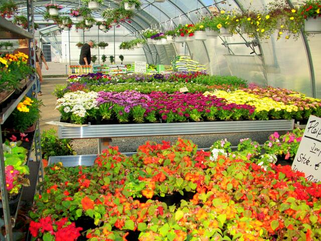 Landmarkt und Garten Neustadt ( 5 ,- Euro Rabatt beim Einkauf)