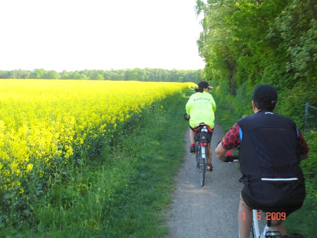 Rückfahrt