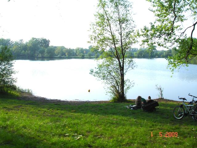 Leinemasch