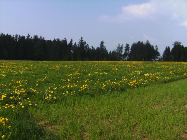 Klare Farben, schöner gehts kaum, oder?