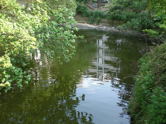 Der Teich von der Holzbrücke gesehen