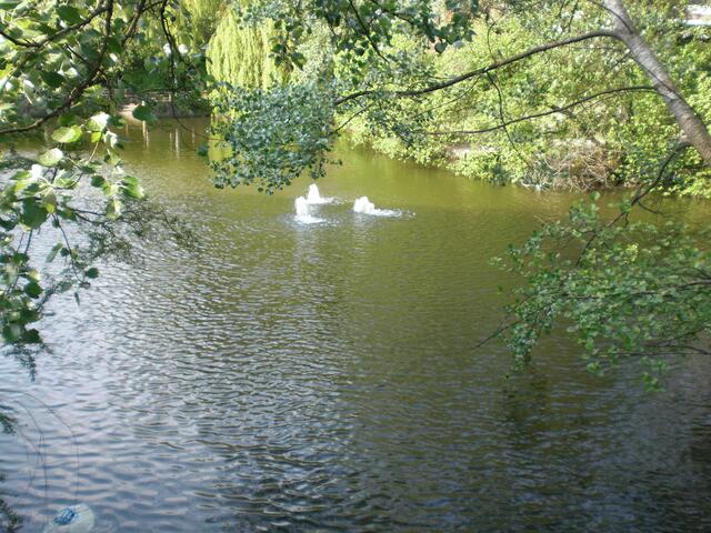 Der Teich von der Brücke gesehen