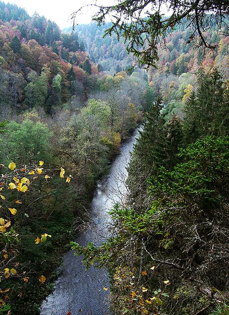 die Wutachschlucht. Sie ist eine der größten Sehenswürdigkeiten des Schwarzwaldes. Die Schlucht ist wild und großartig, allerdings ohne Autostraße. Der 36 km lange Fußpfad durch die Schlucht wurde vom Schwarzwaldverein mit viel Mühe geschaffen. | Foto: Richard Gertis - http://commons.wikimedia.org/wiki/File:Wutach0710-01.jpg