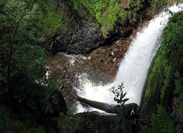die Ravenna-Schlucht mit vielen Wasserfällen. | Foto: Ralf Wimmer - http://commons.wikimedia.org/wiki/File:Ravennaschlucht_wasserfall_01.jpg