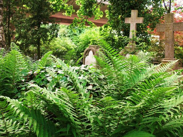 Auf dem Alten Friedhof!